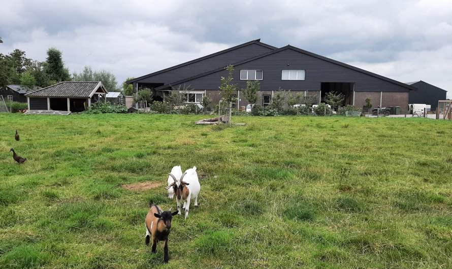 Zorgboerderij De Lekhoeve